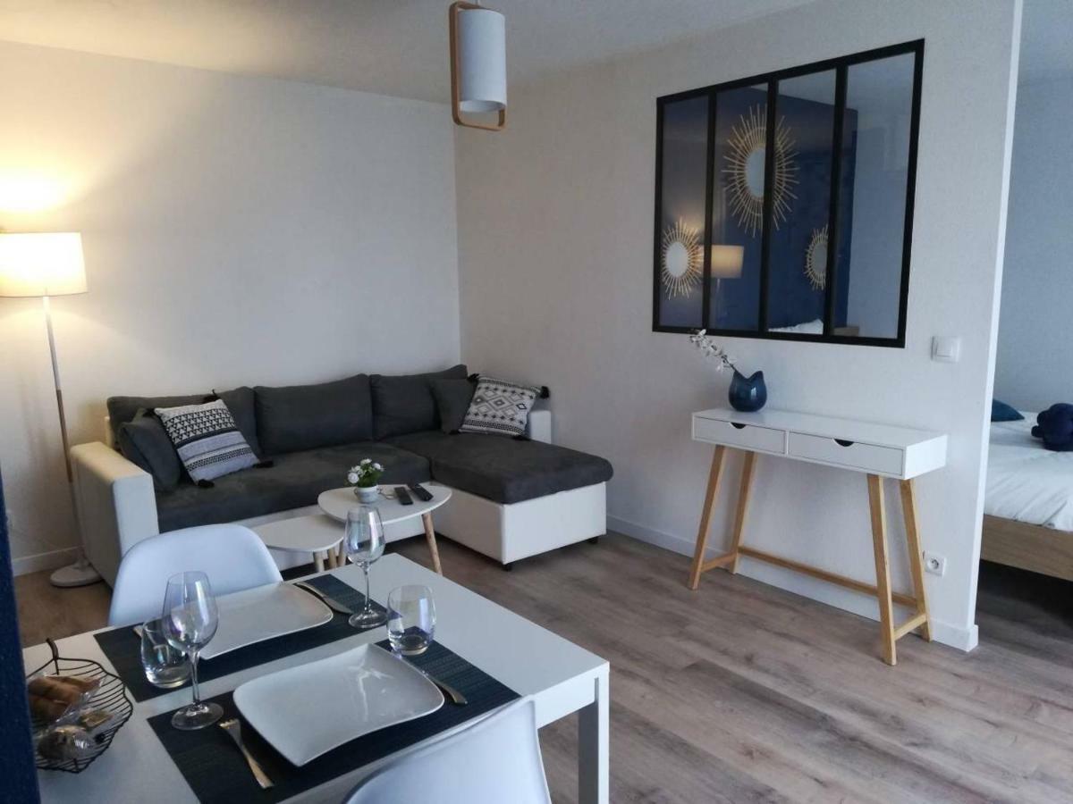 Appartement Cosy Proche Meteo France Et Airbus ตูลูส ภายนอก รูปภาพ