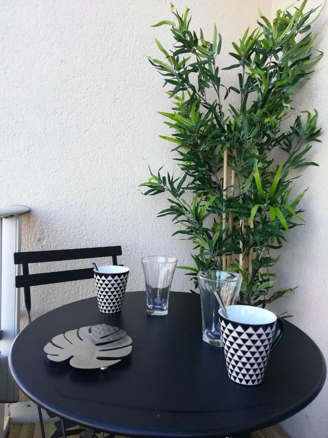 Appartement Cosy Proche Meteo France Et Airbus ตูลูส ภายนอก รูปภาพ