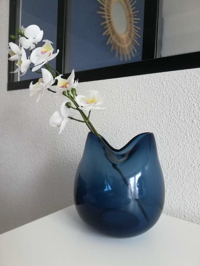 Appartement Cosy Proche Meteo France Et Airbus ตูลูส ภายนอก รูปภาพ